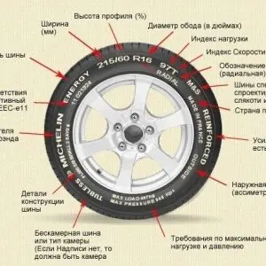 Как правильно выбрать летние шины для авто