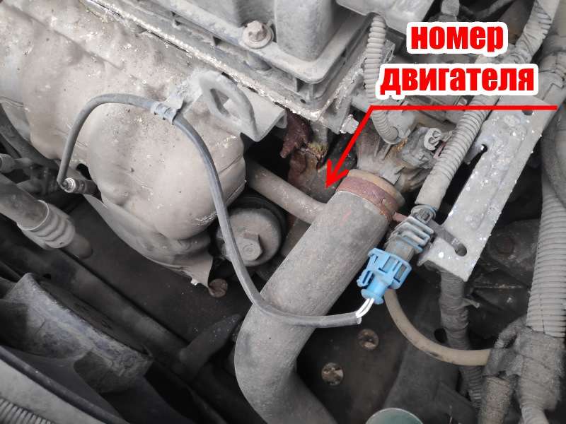 Нужен ли номер двигателя при перерегистрации автомобиля?